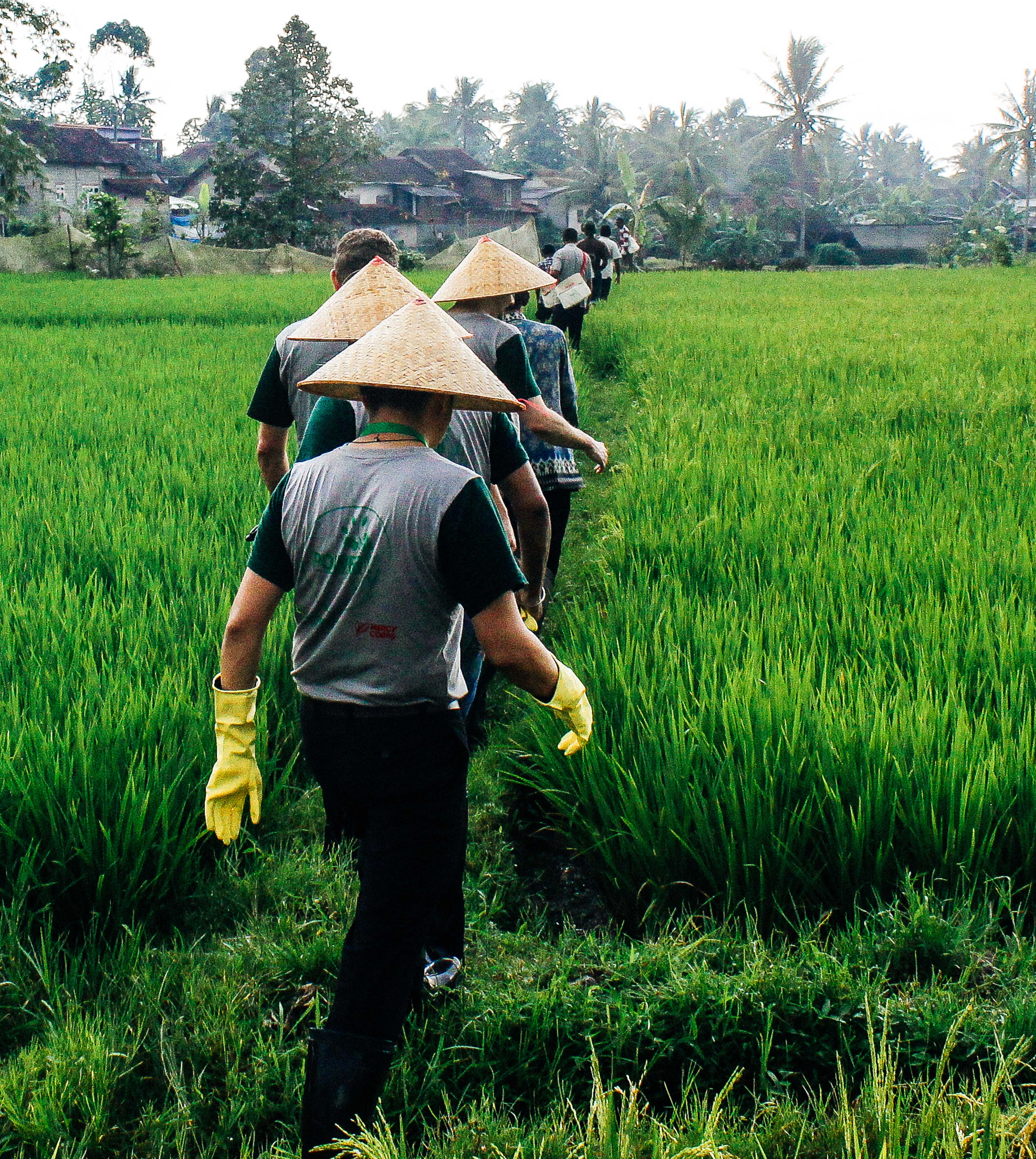 Power From The People